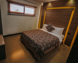 Giraffe Villa