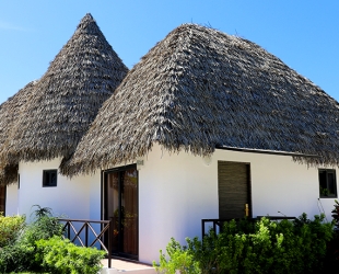Zebra King Villa